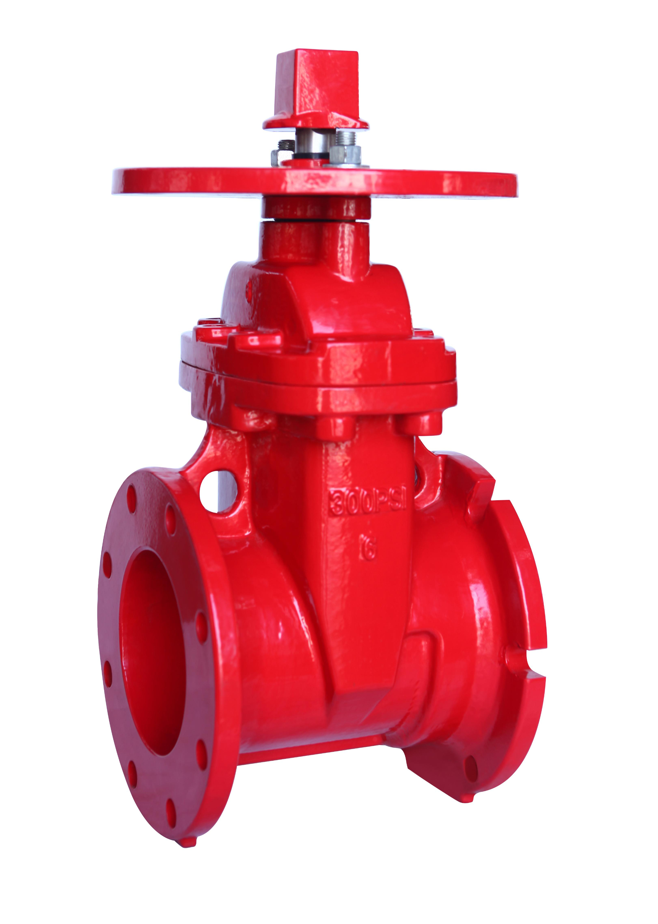 300PSI Flanged-Mechanical Joint Gate Valve